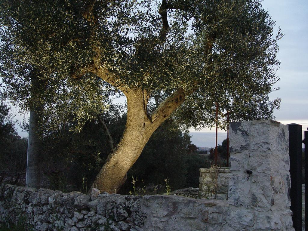 Trullo Sereno Angelo Locorotondo Exteriör bild